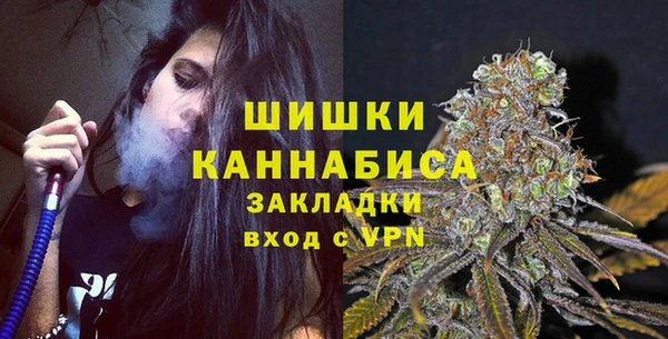 дмт Белокуриха