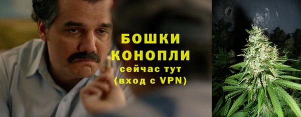 дмт Белокуриха