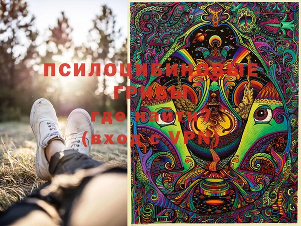 дмт Белокуриха